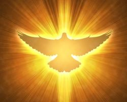 A28 - The Holy Spirit: God Pours into Us His Life and Love